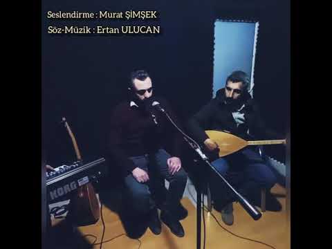 Murat Şimşek sen sebep oldun