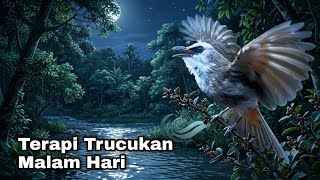 Download lagu TERAPI TRUCUKAN MALAM HARI - TERAPI TRUCUKAN STRES MACET BUNYI dengan SUARA AIR MENGALIR mp3