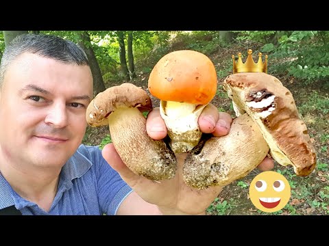 VRGANJ - BLAGVA - VRGANJ - Ee OVO je TOP KLASA