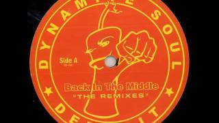 Dj Genesis - Back in the middle ( Theo parrish's Remix)