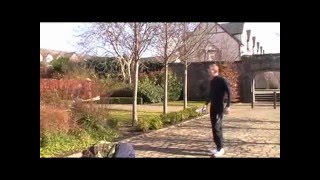 The Story of Táin Bó Cuailnge