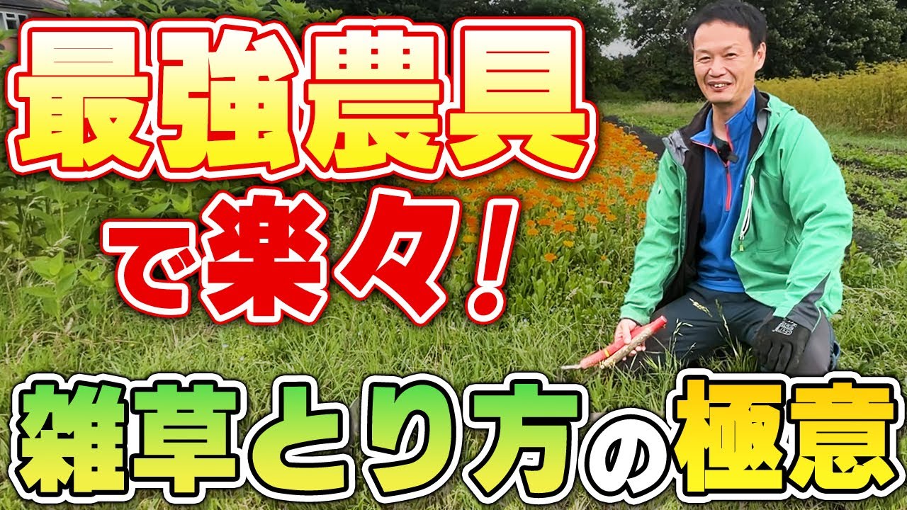 草取りを楽にする道具と先手必勝の極意