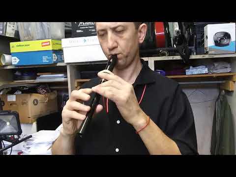 Despacito recorder tutorial