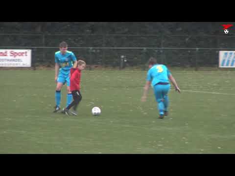 s.v. de Valleivogels - Blauw Geel '55