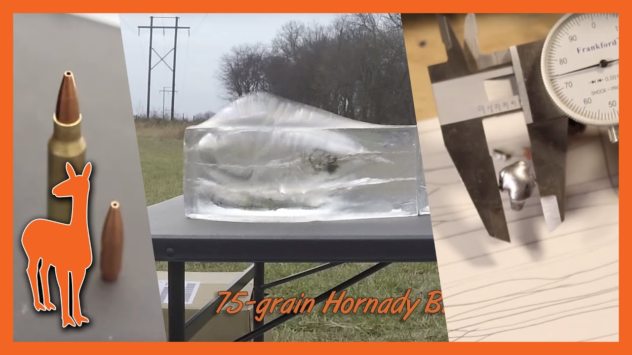 Unexpected Ballistic Gel Performance from Hornady 75-Grain BTHP Match