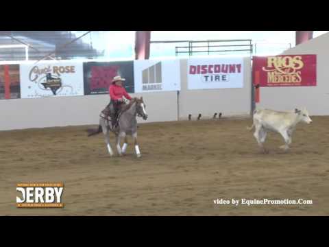 White Knight Time ridden by Anne M. Albert  - 2016 NRCHA Derby (Prelims - Cow Work, NP Ltd.)