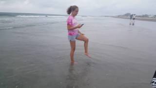 Baby clams at the beach