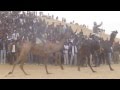Bikaner Camel Festival 2014 in Rajasthan, India ...