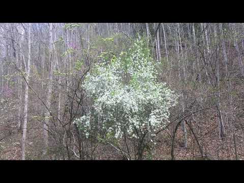 Empress ZOIA patch walk-through:  "1978 Plate V2 -- a revised take on a famous reverb sound"