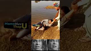Download lagu fish giving blowjob mp3 Download lagu fish giving blowjob mp3
