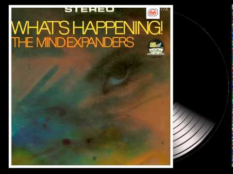 The mind expanders - Love syndrome