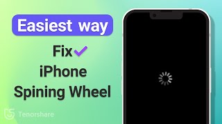 The Easiest Two Ways to Fix iPhone Black Screen Spinning Wheel 2023