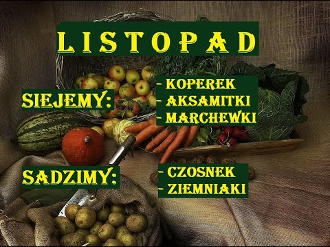 , title : 'LISTOPAD - SIEJEMY I SADZIMY PRZED ZIMĄ - KOPEREK, AKSAMITKI, MARCHEWKI, CZOSNEK, ZIEMNIAKI'