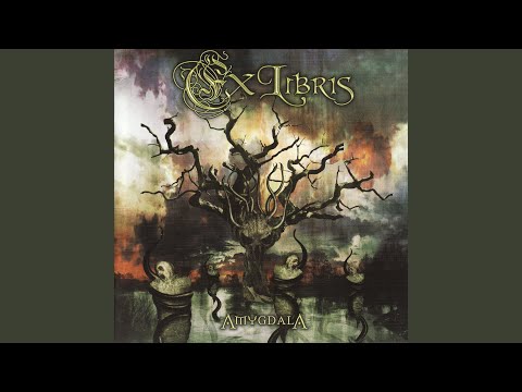 download lagu mp3 mp4 Ex Libris Amygdala, download lagu Ex Libris Amygdala gratis, unduh video klip Ex Libris Amygdala