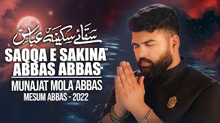 SAQQA E SAKINA ABBAS ABBAS  Mesum Abbas Nohay 2022
