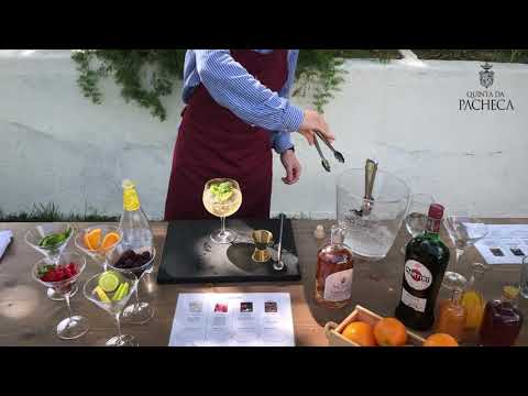 Pacheca Porto Tonico