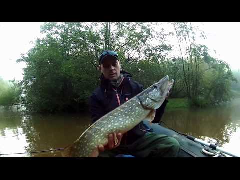 Szczupak pod krzakami / SDS #05