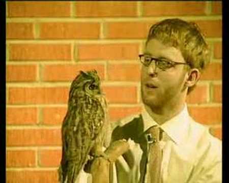 Bakfull med Bergman - trailer