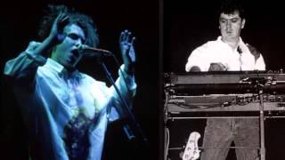 the cure to the sky subtitulada