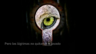Wolf at your door Sixx Am Subtitulado español