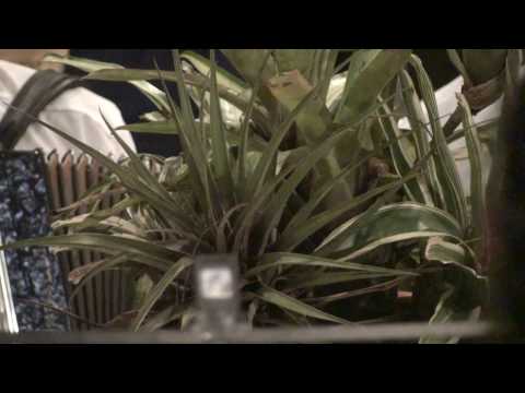 FIRMEI-ME NO SOL - FLOR DE JAGUBE - NOVA JERUSALÉM  10