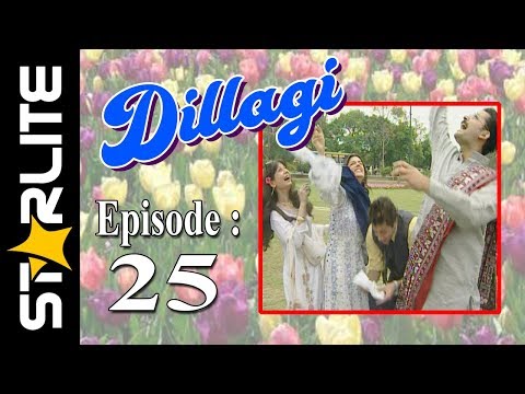 Dillagi, Episode 25, Top Pakistani Drama, URDU Comedy, Drama Serial Kashif Mehmood, Naseem Vicky