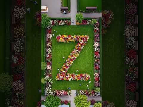 beautiful z letter flowers garden #flowers #garden