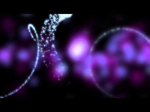 Namrata's 40th Birthday!