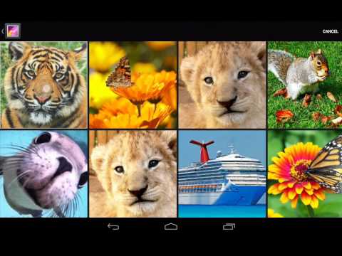 Mosaic Lite