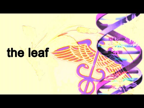 The Leaf