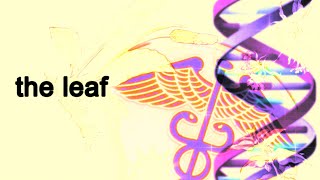 The Leaf