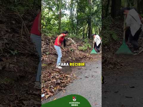 📽️En #Durania avanzan los preparativos para las🎄 festividades navideñas y de 🥳fin de año.