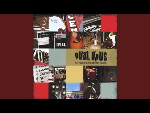 Shell Collector - Oval Opus