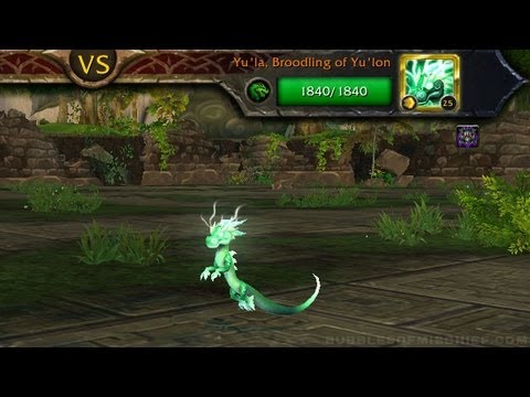 Yu'la, Broodling of Yu'lon - Celestial Tournament (PTR)