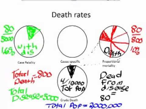 Epidemiology: Calculating Death Rates