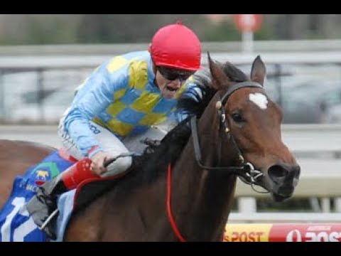 2010 SKY Racing Group One Glory _ Spring