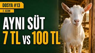 Saanen Keçisi Gerçekten Kazandırır mı? Aynı Sütün 7 TL ile 100 TL Aras