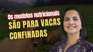 Dieta de Vacas de ALTA PRODUÇÃO no PASTO