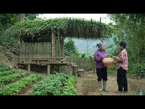 A poor single mother receives a touching gift from an elderly woman
