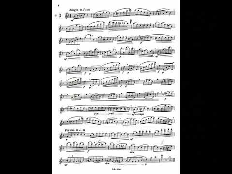 E.Köhler op.33 studio n.3 - G. Barone, flauto