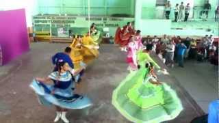 preview picture of video 'El gavilancillo,Sinaloa Baile Folklorico.'