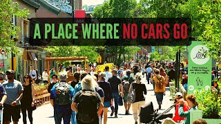 The Spectacular Success of Montreal's Car-Free Streets