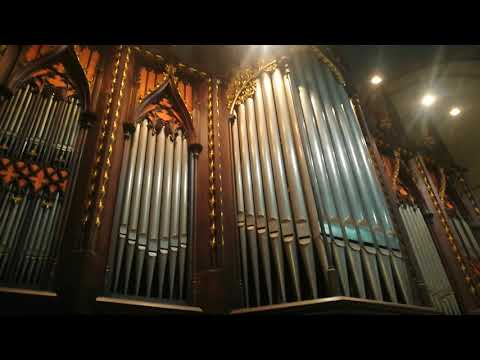 Hvalimira Bledšnajder za orguljama zagrebačke katedrale