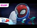Team Spidey Helps Dolphins ️ Marvel S Spidey And His Amazing Friends Disneyjrx MarvelHQ