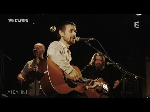 Alcaline, Les News du 29/09 avec Divine Comedy