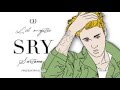 Justin Bieber - Sorry (Lil Mystic & dj Sartana REMIX ...