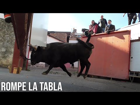 Valdemorillo 2022 Encierro del Domingo