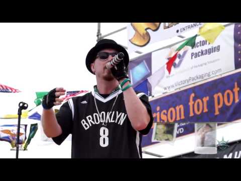 STEVE TREANOR (MENACE•LIVE) - "Beautiful Day" HEMPFEST 2015 Official