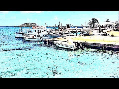 Es Cana Ibiza | Walk Tour Es Cana Summer 2022