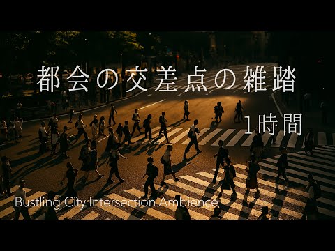 【環境音/ASMR】都会の交差点の雑踏・1時間【睡眠導入/勉強/瞑想/作業用BGM】